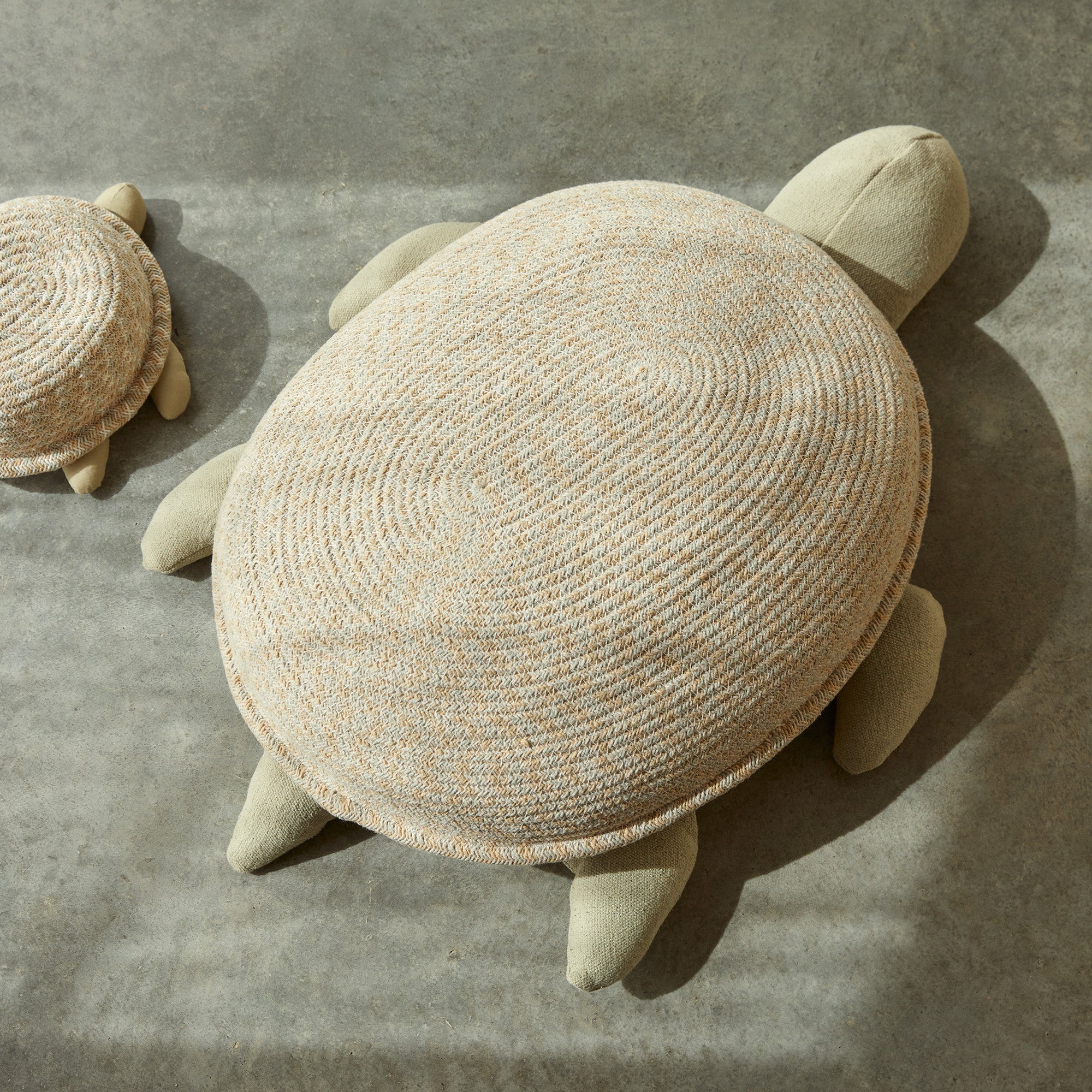 Basket - Baby Turtle