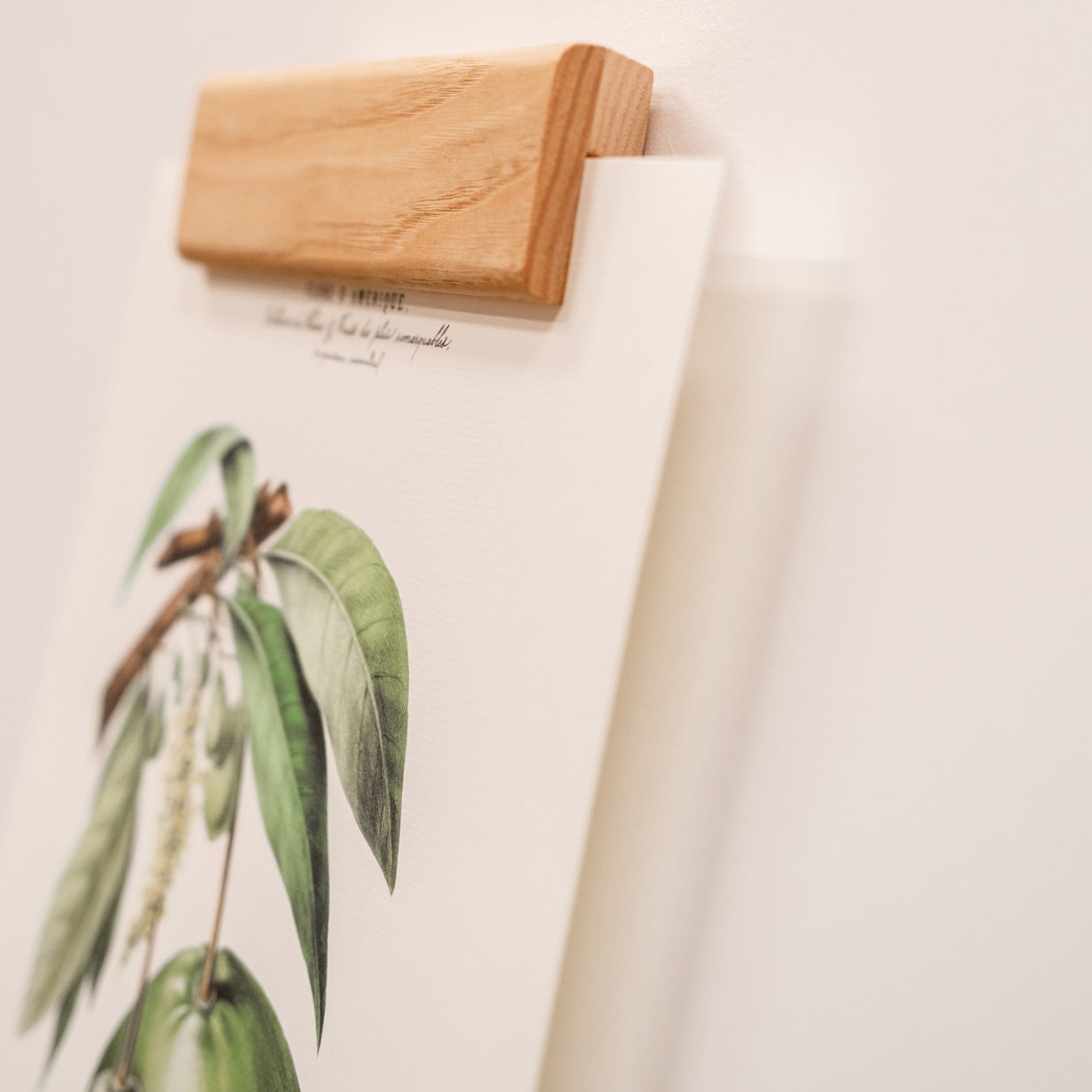Grape - Poster holder - A3