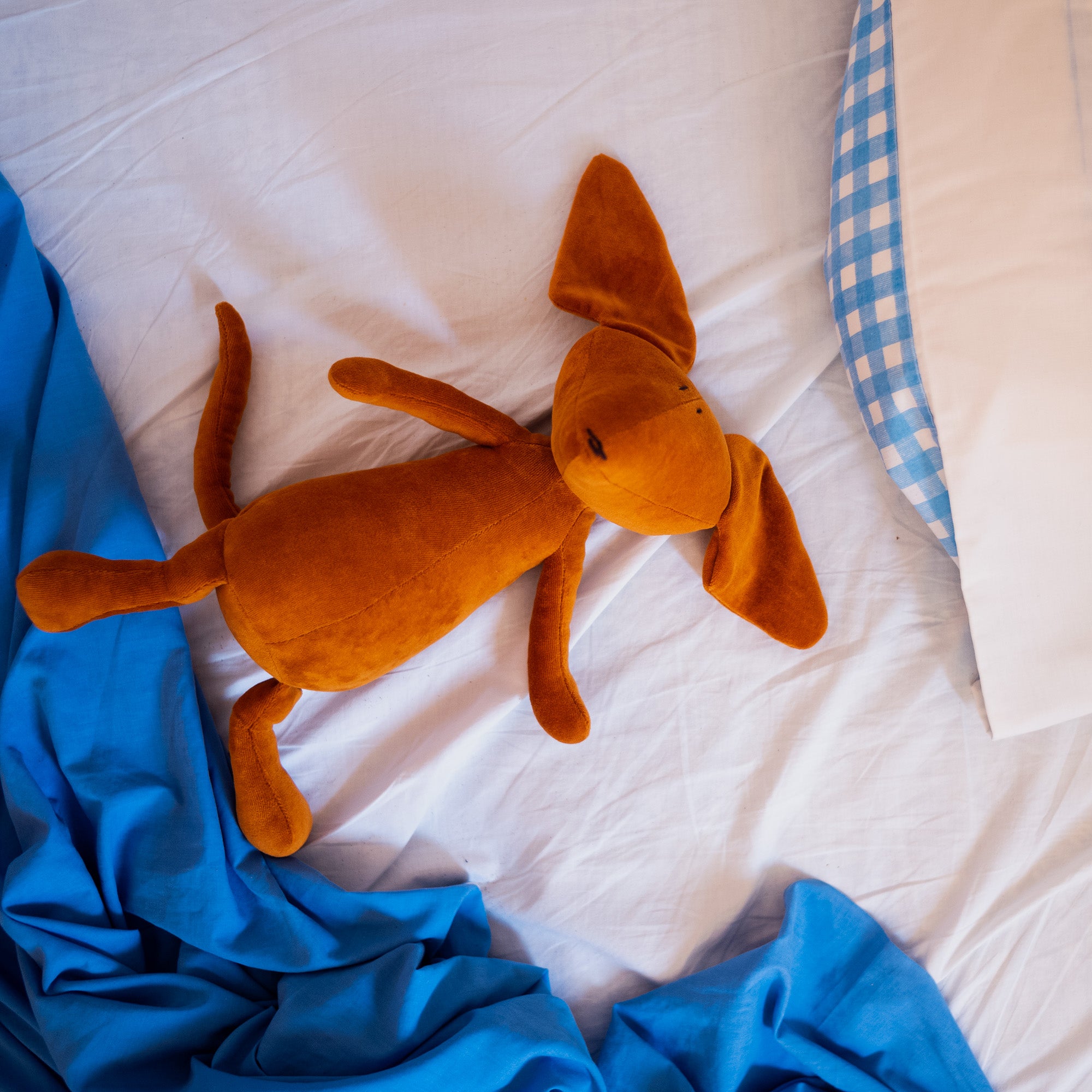 SCOTT THE DACHSHUND / L