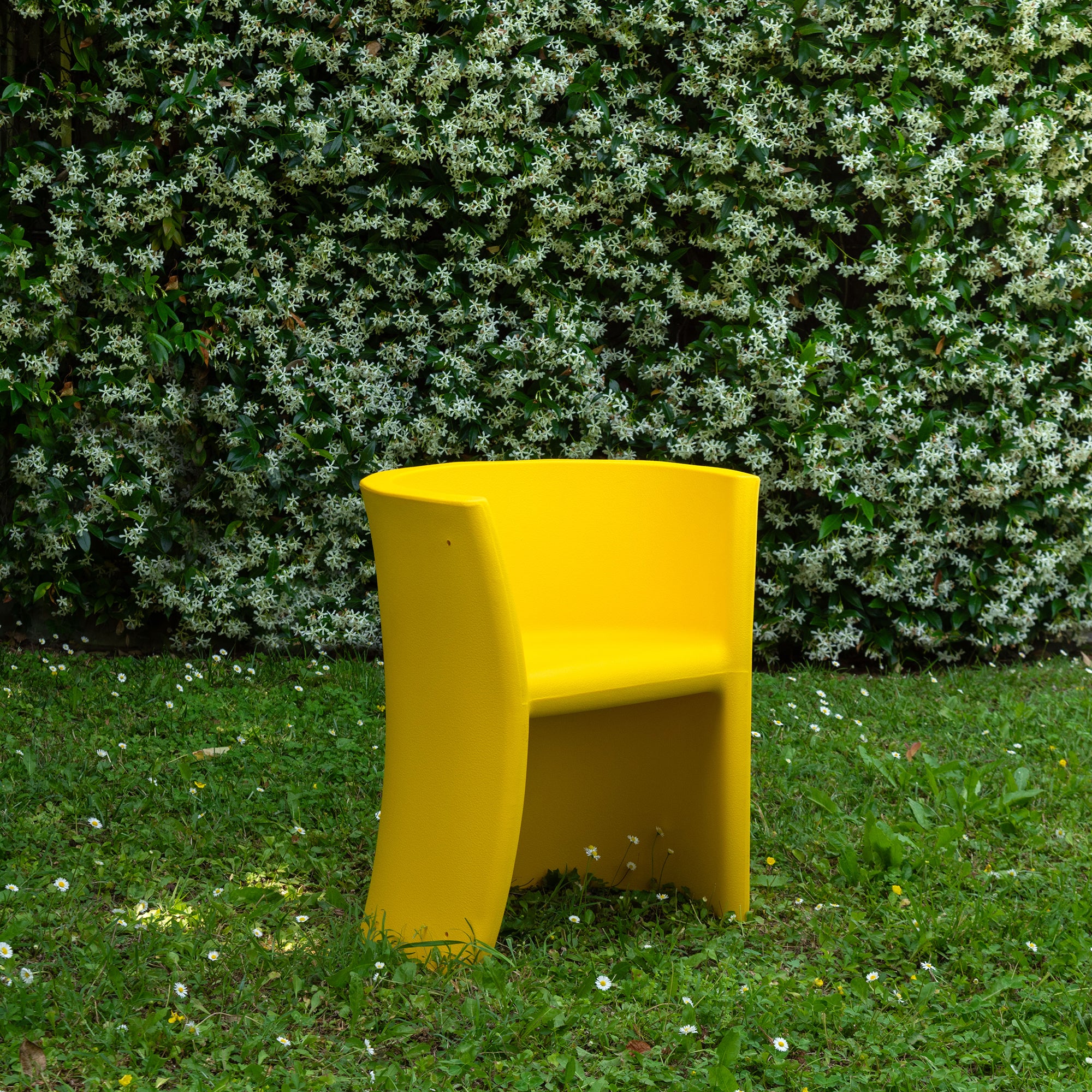 Chair - Trioli