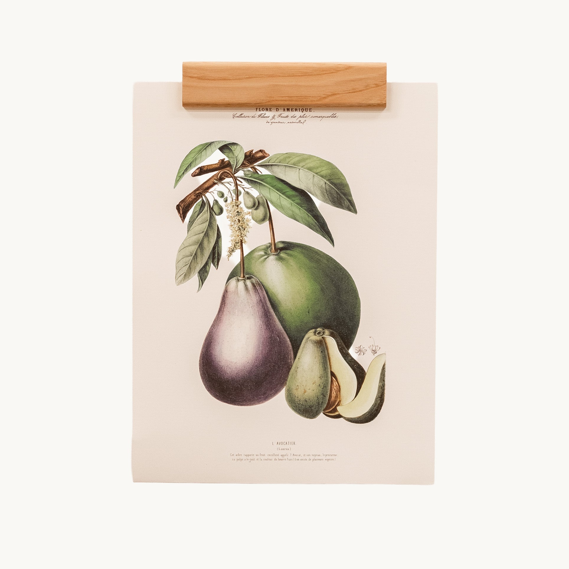 Grape - Poster holder - A3